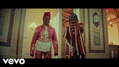 Stonebwoy Ft. Angelique Kidjo - Manodzi Video
