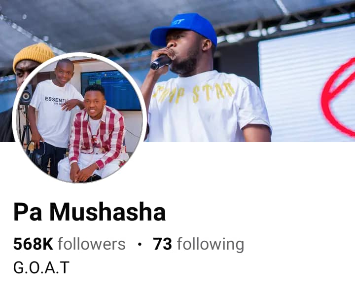 Dizmo Page Hacked Renamed "Pa Mushasha"
