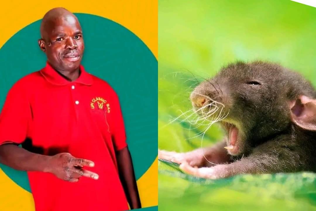 Joe Gwaladi - Khoswe Mp3