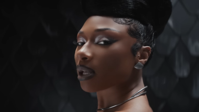 Megan Thee Stallion - Cobra Video