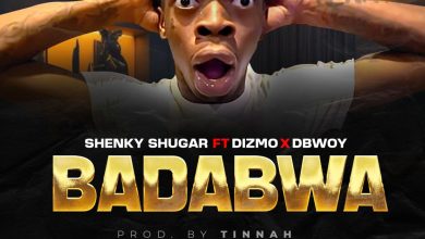 Shenky ft. Dizmo & D Bwoy - Badabwa Mp3
