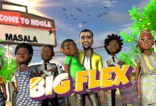Yellow Dove - BIG Flex Video