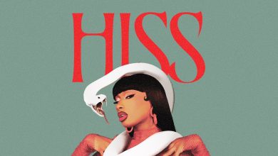 Megan Thee Stallion - HISS Lyric Video