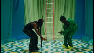 Reekado Banks Tags Seyi Vibes On Fakosi Remix Video
