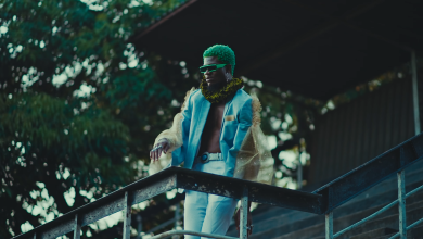 T-Low ft. Chef 187 & Mikha'el - Butterfly Vibes Video