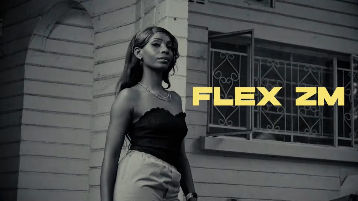 Flex Zm - Fallin Video