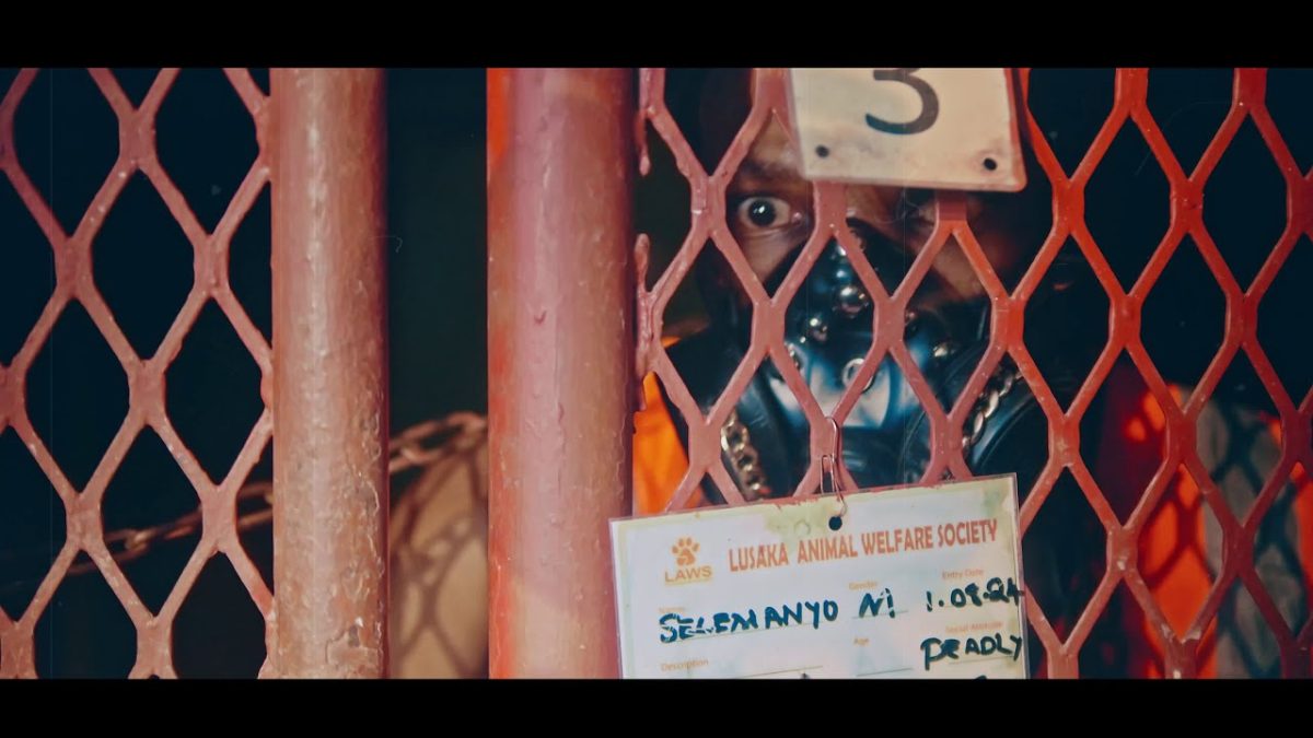 Selemanyo Drops Video For "Feeling Ya Mbwa"