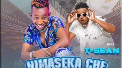 Real Sika Ft. T-Sean - Nimaseka Che Mp3