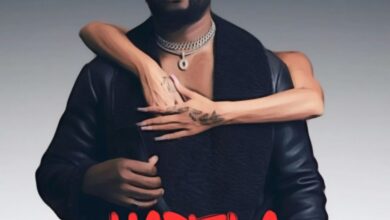 Siame OC – Hasela