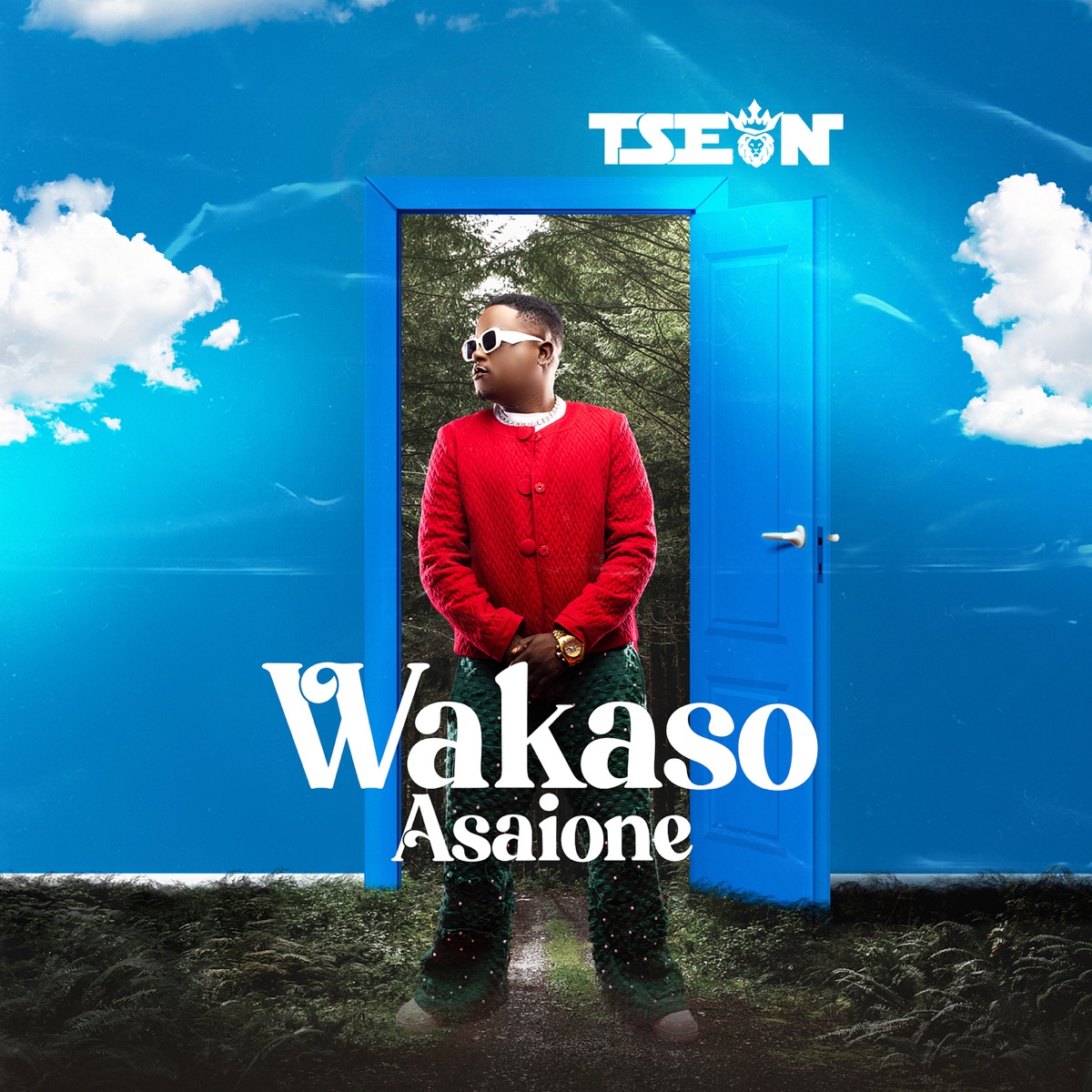 T-Sean - Wasako Asaione