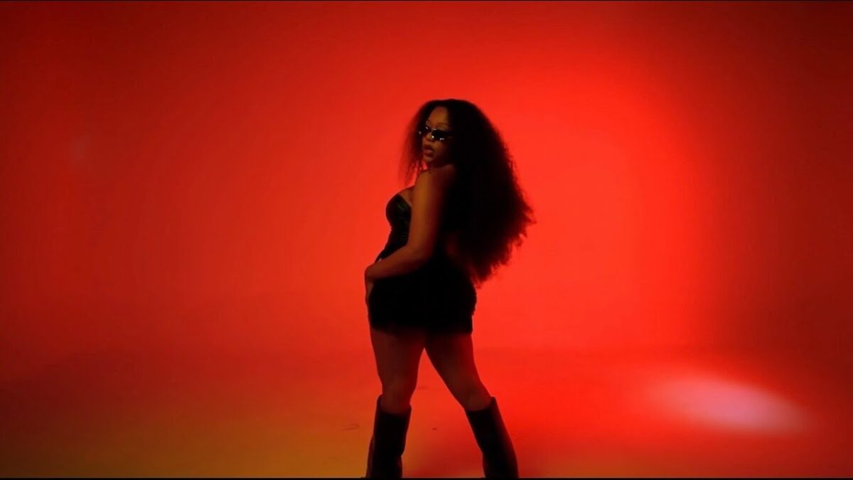 Towela Kaira ft. Karasa & T-Sean - Do Me (Visualizer)